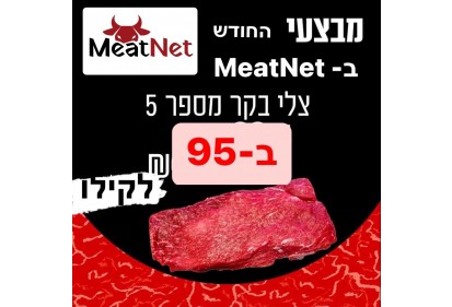 צלי כתף מספר 5 (פוליקה)